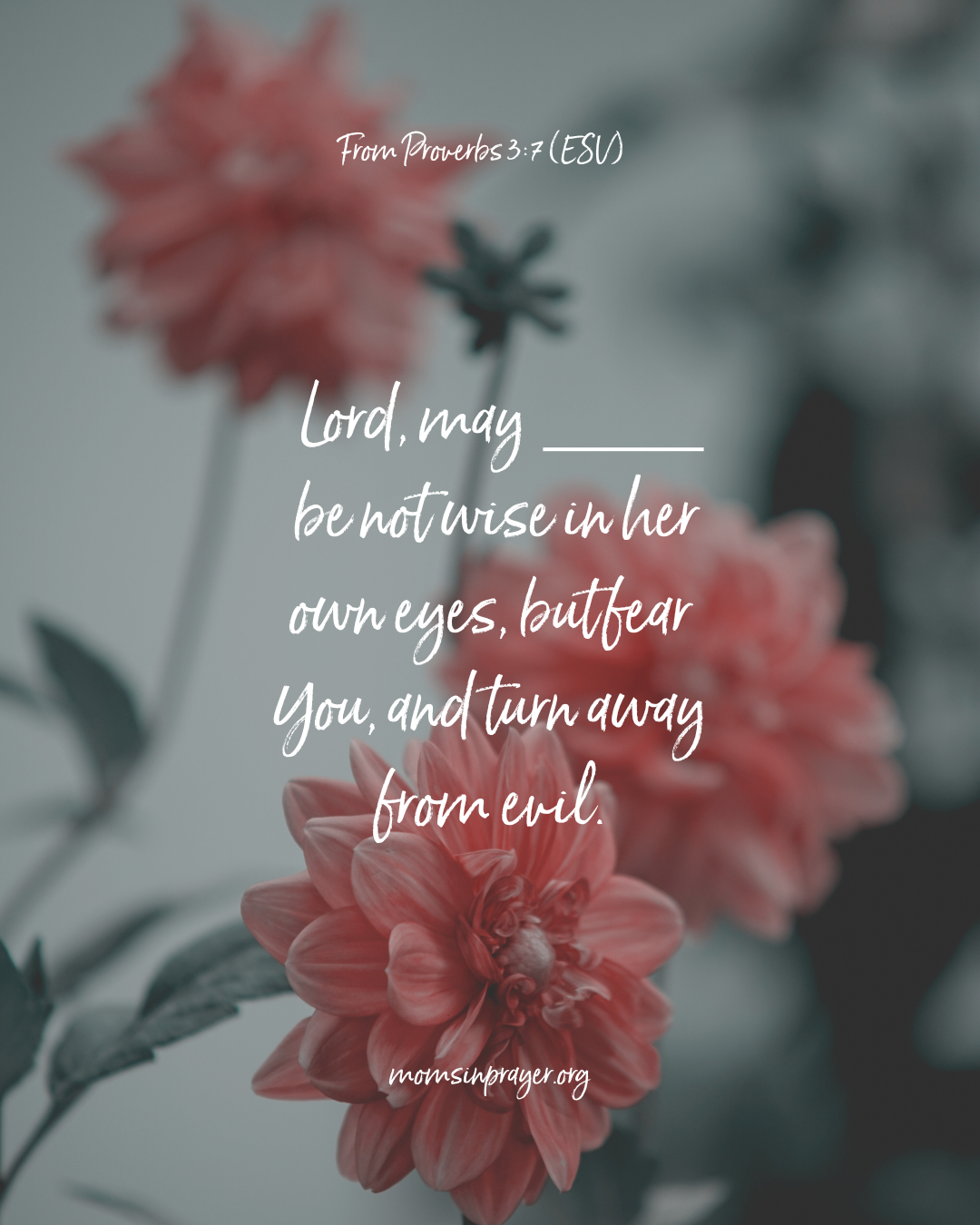 安一下即可觀看放大圖示 Highslide JS