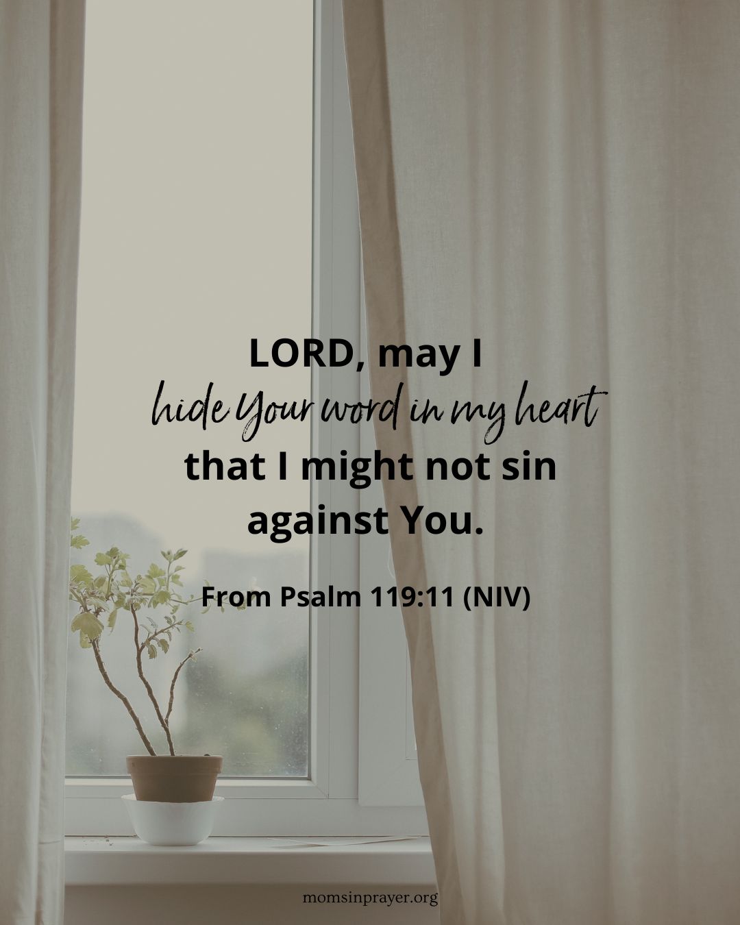 安一下即可觀看放大圖示 Highslide JS