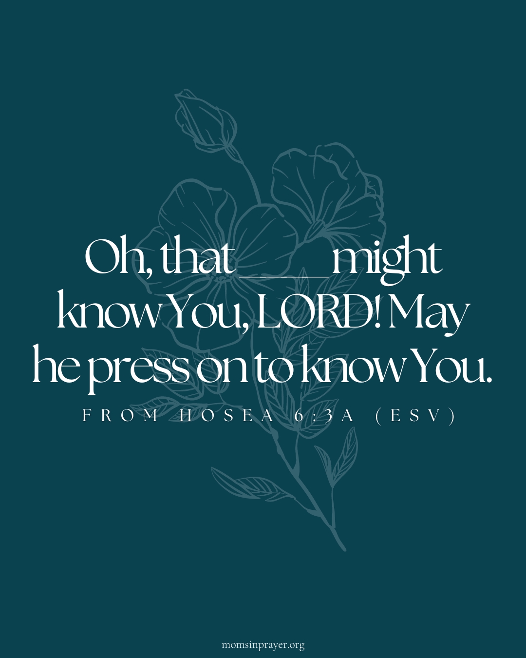 安一下即可觀看放大圖示 Highslide JS