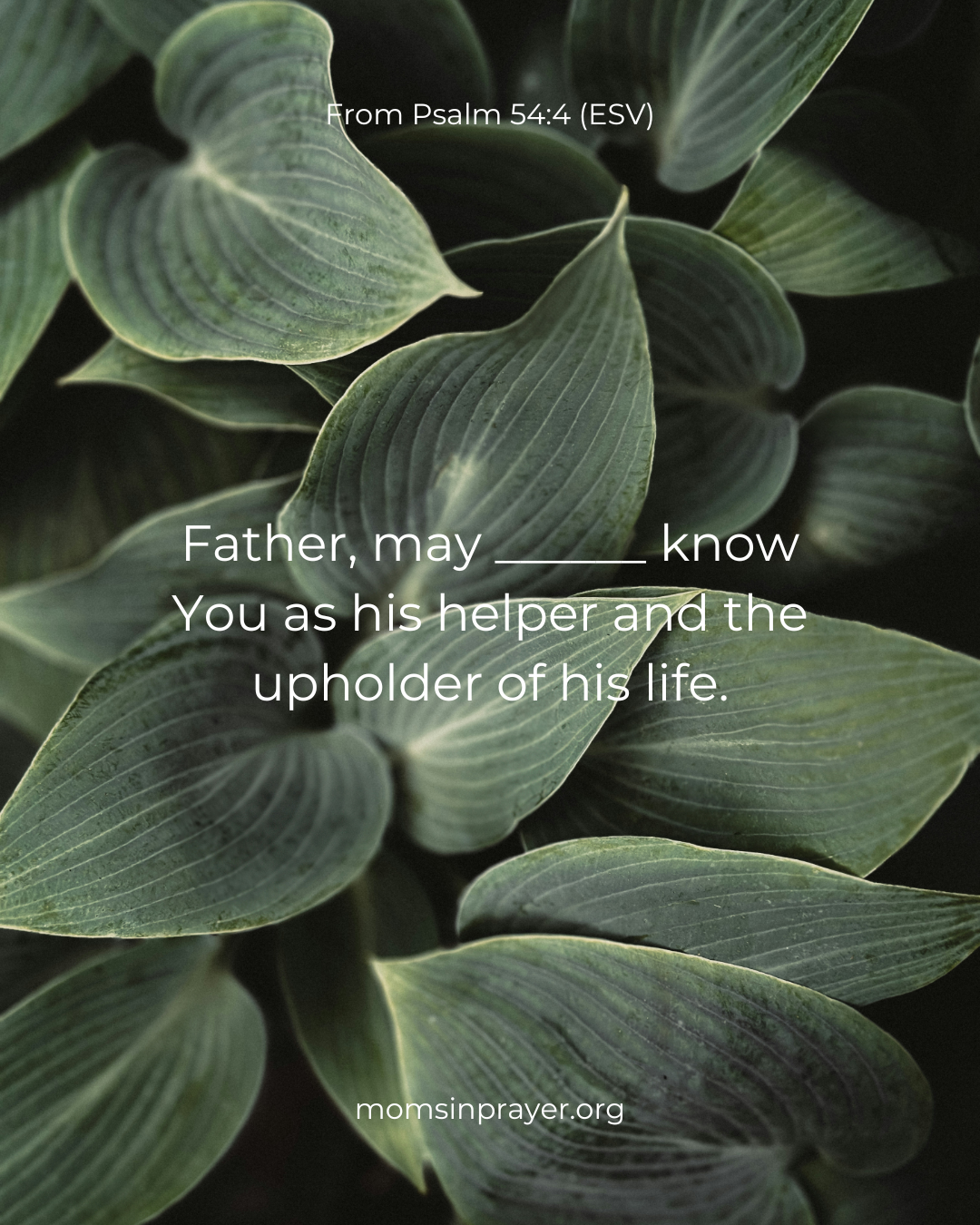 安一下即可觀看放大圖示 Highslide JS