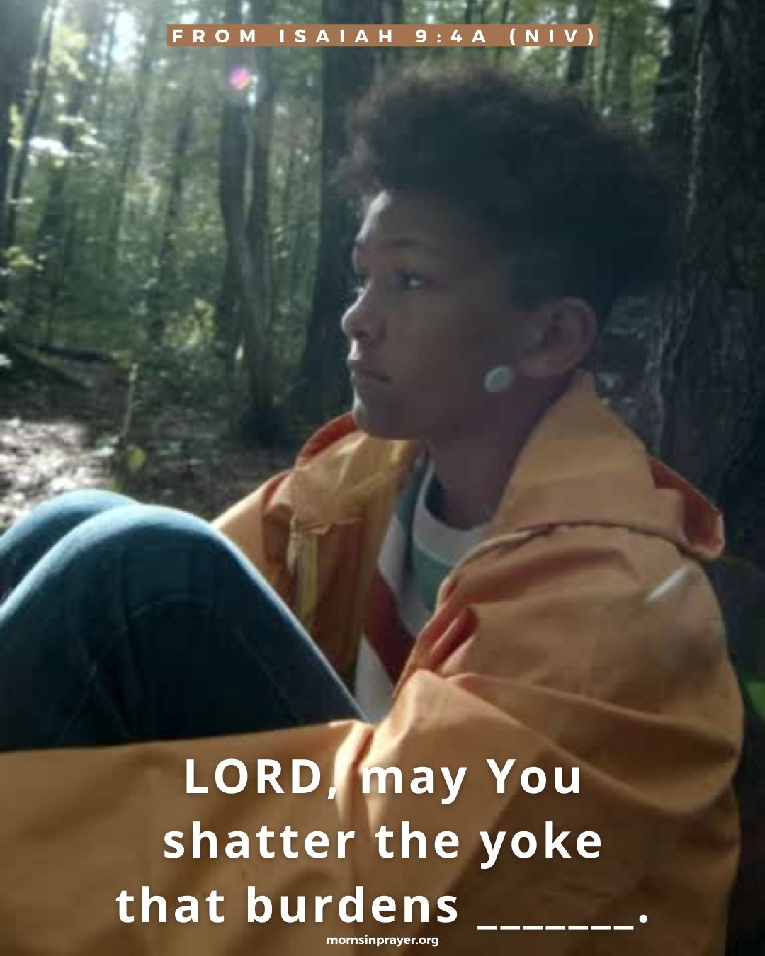 安一下即可觀看放大圖示 Highslide JS