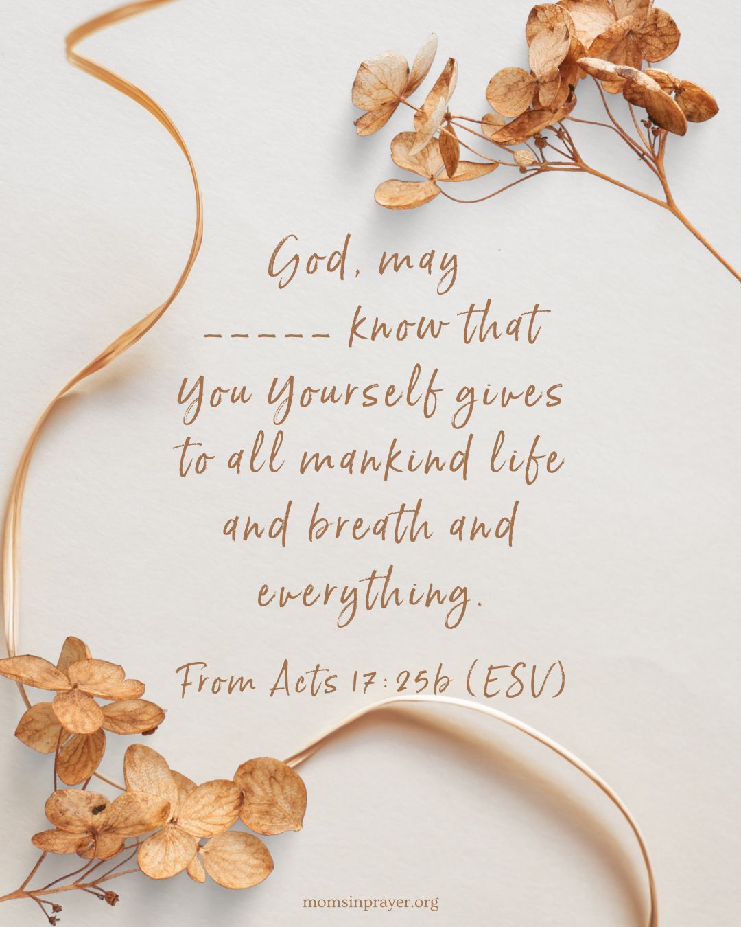 安一下即可觀看放大圖示 Highslide JS